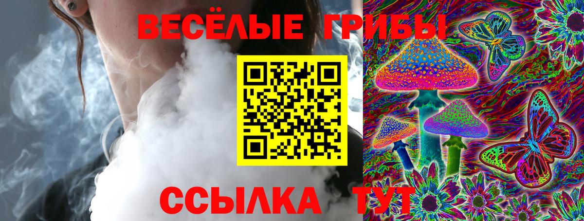 Озёрск  хочу наркоту  Вход с VPN  Галлюциногенные грибы мицелий 